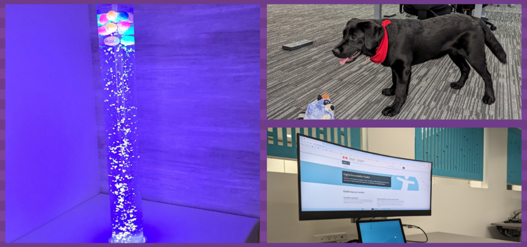 Image featuring some of the features of the new client service center, including a sensory room, a service dog in training and a curved monitor.
